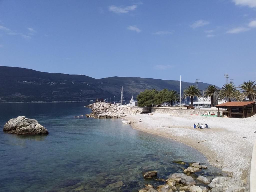 Апартаменты Apartment Gemelli II Херцег-Нови