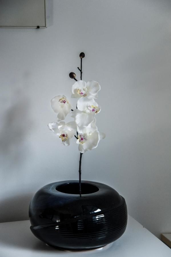 Апартаменты Apartment Gemelli II Херцег-Нови