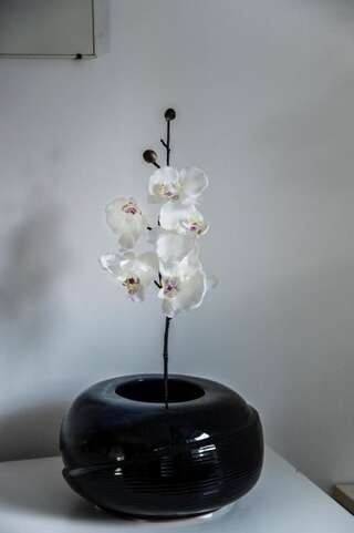 Апартаменты Apartment Gemelli II Херцег-Нови Двухуровневые апартаменты с 2 спальнями-68